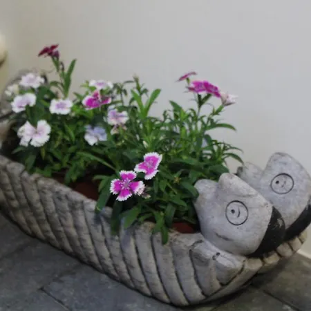 Дом отдыха Casa Da Avo Clementina