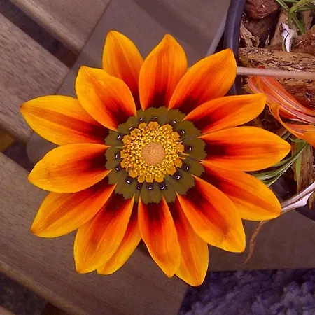 Дом отдыха Casa Da Avo Clementina *