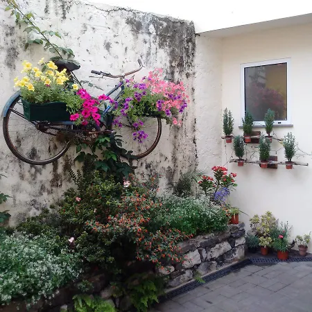 Дом отдыха Casa Da Avo Clementina