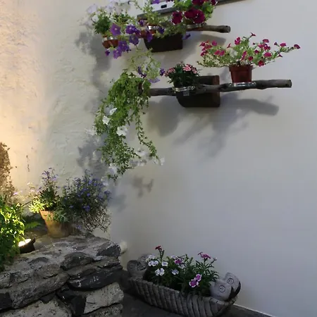 Casa Da Avo Clementina Tatil Evi Funchal